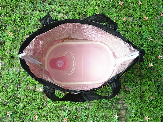 На открытом воздухе изолированная емкость сумки охладителя перемещения пикника большая для пешего туризма